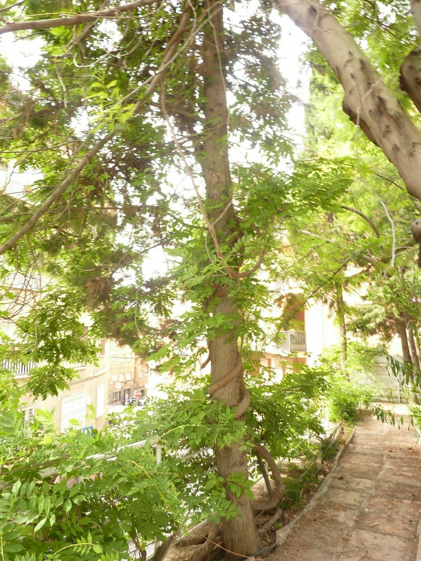 Casa Vilaro برشلونة المظهر الخارجي الصورة